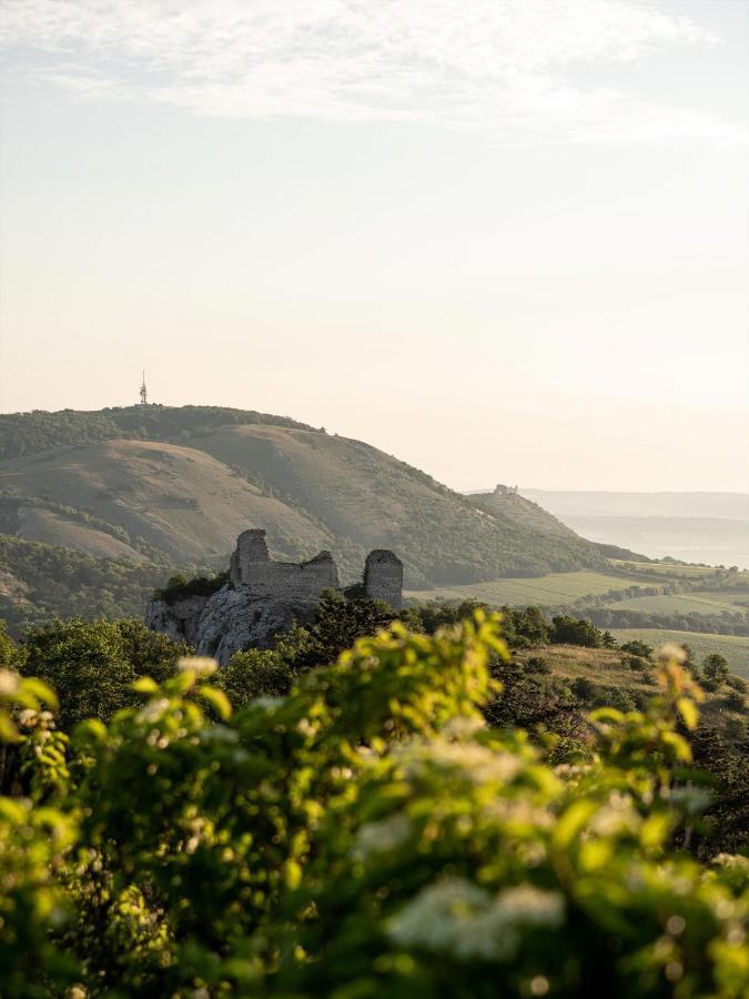 Marinada Vinicni Dum Panzió Pavlov Kültér fotó